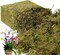 Large Capacity Fake Moss for Plants Indoor, Fresh Green Moss for Potted Plants Craft Moss for Home & Office Decor Fairy Garden Decoration